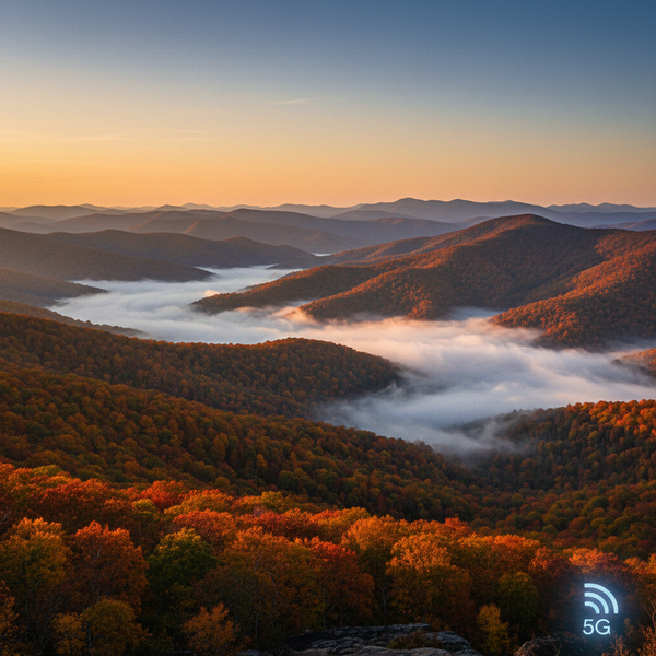 North Carolina coverage